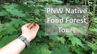 PNW Native Food Forest Tour  Native Plants [upl. by Robinet701]