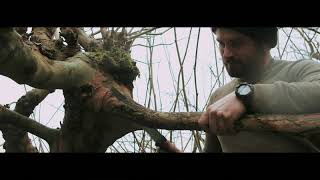 Pollarding and Coppicing with Rick Brookman [upl. by Virginie]