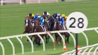 2020 VRC Carbine Club Stakes [upl. by Horacio613]