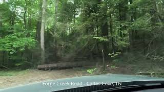 Forge Creek Rd in Cades Cove TN 2024 [upl. by Refotsirc]