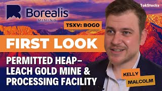 First Look Borealis Mining TSXV BOGO  Permitted HeapLeach Gold Mine in Nevada [upl. by Norehc]