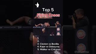 5 of the best flying knee KOs in mma history ufc mma boxing wrestling knockouts [upl. by Countess]