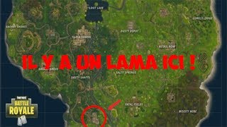 FORTNITE  LOCALISER ET SITUER LE LAMA PIGNATA SUR LA CARTE [upl. by Zoller]