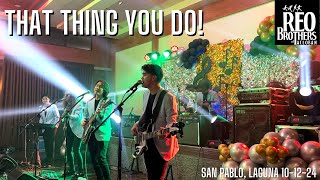 That Thing You Do  The Wonders REO BROTHERS cover [upl. by Aldred]