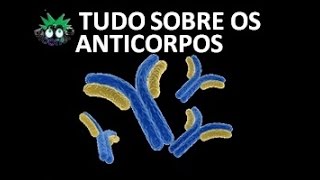 Tudo sobre anticorposTipos estrutura e formas de ação [upl. by Ydaj]