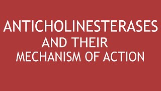 Anticholinesterases and their mechanism of action by DrShikha Parmar [upl. by Akiehsal]