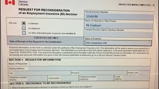 EI Reporting to Service Canada with Vacation Pay amp Statutory Holiday Cashout Part 2 [upl. by Acitel767]