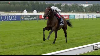 Special racehorse Palace Pier goes backtoback in the Prix Jacques Le Marois 🌟 [upl. by Henricks]