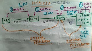 Hypoxia  Hypoxic Anemic Stagnant Histotoxic Hypoxia  Amazing Concept  TCML [upl. by Aisya]