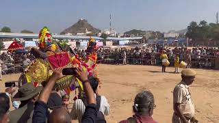 Camel dance in Pushkar fair pushkar mela 2024 pushkarmela2024 trending [upl. by Thompson]