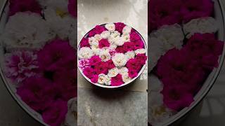 flower timelapse video flower transformationsubscribe shorts garden viralvideo [upl. by Beverlie]