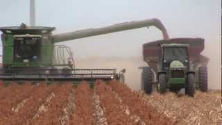 2012 South Texas Grain Sorghum Harvest [upl. by Shawna]