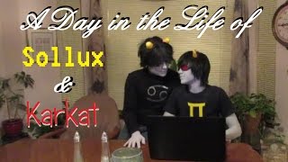 A Day in the Life of SolKat [upl. by Goulette]