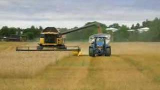 New Holland CR 9080 and Cestari chaser bin [upl. by Cairistiona]