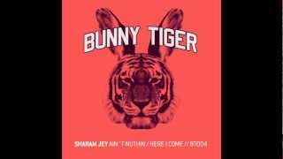 Sharam Jey  Ain´t Nuthin  Bunny Tiger004 [upl. by Chandless]