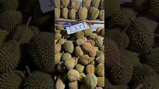 RP10000 DAPAT DURIAN APA DI BALI⁉️ [upl. by Aicineohp897]