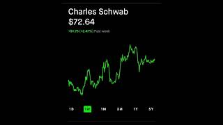 Charles Schwab Robinhood Stock Market Investing [upl. by Adaha498]