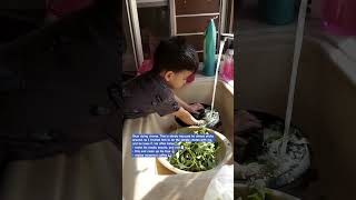 Lets Wash Vegetables subscribe shortsviral shortsvideo shortsfeed reels shorts cute [upl. by Htebiram978]