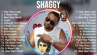 Shaggy Greatest Hits  Best Songs Of 80s 90s Old Music Hits Collection [upl. by Fisuoy]