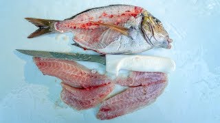 How to Fillet Porgy Scup Dexter Outdoors [upl. by Durrej]