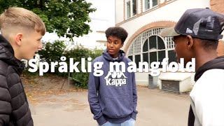 Språklig mangfold [upl. by Adnalu]