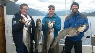 Fishing coalfish in the Romsdalsfjord [upl. by Ainsley561]