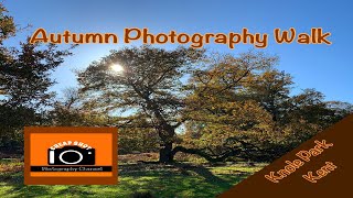 Autumn Photography Walk [upl. by Leohcin375]