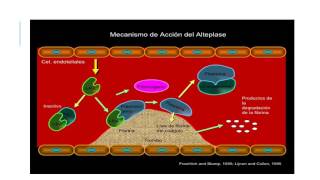 Anticoagulantes y Trombolíticos mecanismo de acción [upl. by Carmine]