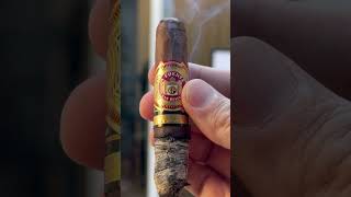 A VERY short story cigar cigars luxury [upl. by Paley228]