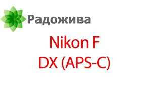 Кропнутые цифровые зеркальные фотоаппараты с байонетом Nikon F серии Nikon D DX  проблемы системы [upl. by Cutcheon660]