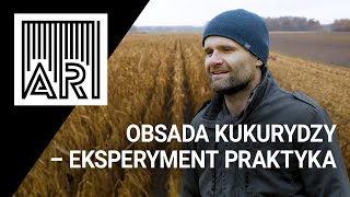 Obsada w kukurydzy na glebach lekkich – eksperyment praktyka II AR 201 [upl. by Nowell340]