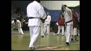 Kyokushin vs Shotokan KO [upl. by Alliuqal]