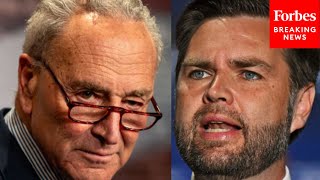 I Dont Even Wanna Say The Guys Name Ill Just Say Hes Weird Chuck Schumer Dunks On JD Vance [upl. by Zeiler]