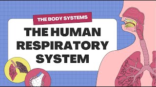 GRADE 9 SCIENCE QUARTER 1  The Respiratory System  Parts amp Functions [upl. by Eronaele]