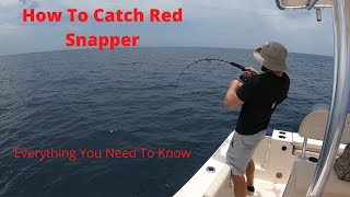 How To Catch Red Snapper The Start To Finish Guide Be Prepared For Snapper Season Fishing Spots [upl. by Josias]