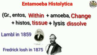 Entamoeba histolytica  Morphology Life Cycle Classification NOTES [upl. by Ynittirb]