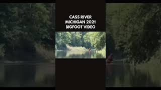 Bigfoot footage from Michigan Cass River area circa 2021 bigfoot sasquatch publishtoall [upl. by Karlee]