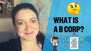 What is B Corp Certification How and why do businesses get B Corp Certificates Full Explanation [upl. by Stirling]