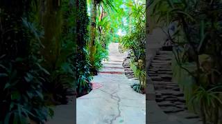 Kabbalah PlacePH kabbalah nature naturelovers shortvideo shortsvideo shorts short [upl. by Janina629]