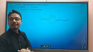 CEE 2081 MEMORY BASED QUESTIONS Part5  UNIT GENETICS AND CELL BIOLOGY [upl. by Rizas]