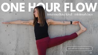 Intermediate Vinyasa Yoga Flow  1 Hour Yoga Class  Minimal Cueing [upl. by Aihk]