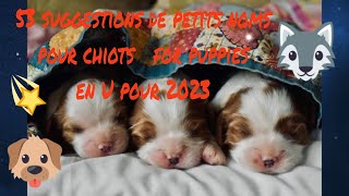 🥰🐶 quel petit nom pour mon chiot  for my puppy 53suggestions de prénoms chiots pour 2023 en U [upl. by Kreg500]