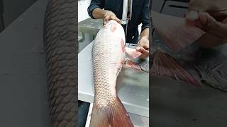 How to cutting river live rohu fish and catla fish cutting skillsfishshortsfishing youtubeshorts [upl. by Eldreeda]