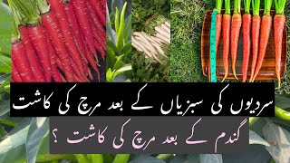 How to grow winter vegetables before chilli crop All information about upcoming vegetables season [upl. by Lotty]