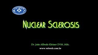 Nuclear Sclerosis in Dogs [upl. by Isahella98]