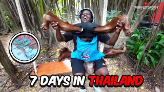 7 Days In Thailand [upl. by Emanuel]