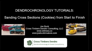 Dendrochronology Sanding Tutorial Prepping a Tree Cookie Sample from Start to Finish [upl. by Waldner]