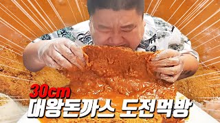 들고 뜯어 30cm 초대형 대왕돈까스 도전먹방ㅣEATING SHOW MUKBANGㅣ [upl. by Inaliel]