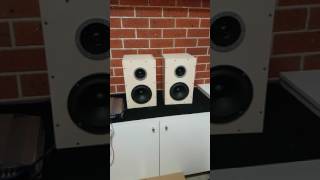 DIY Test SB acoustics midbass  satori tweeters [upl. by Billi]