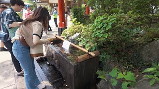 Enoshima Island A Journey Through Time 【4K HDR】東京散歩 2024 [upl. by Eerak]